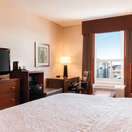 Hampton Inn by Hilton Edmonton/South