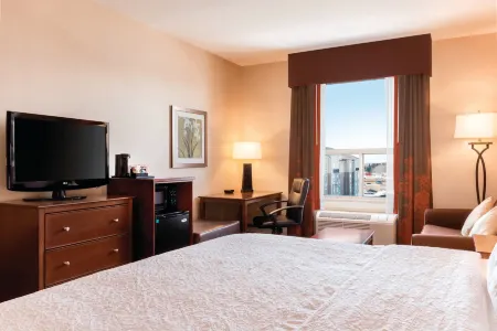 Hampton Inn by Hilton Edmonton/South