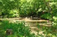 Bearadise Cabin on 300+ ft of Brasstown Creek: Near John C. Campbell Folk School