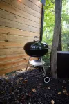 Cozy campsite with creek access!
