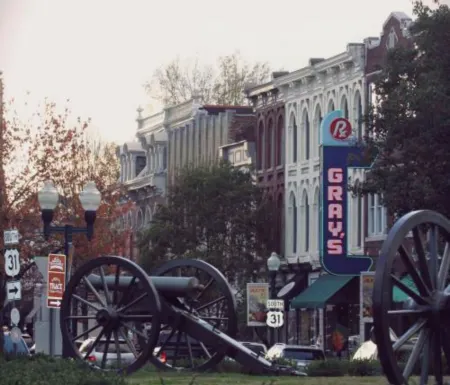 *NEW* Bluebird Cottage in the Heart of Historic Downtown Franklin