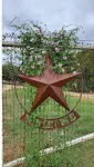 Wildlife Haven King Bed! Free snacks, near Austin!
