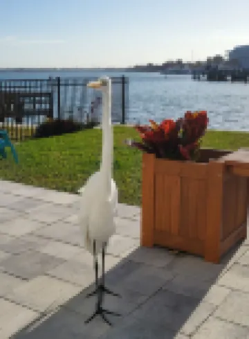 Million Dollar Views! Waterfront 2 Bedroom/2 Bath Duplex with Pool and Dock.
