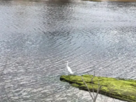 Palm Coast Cozy apartment<br>