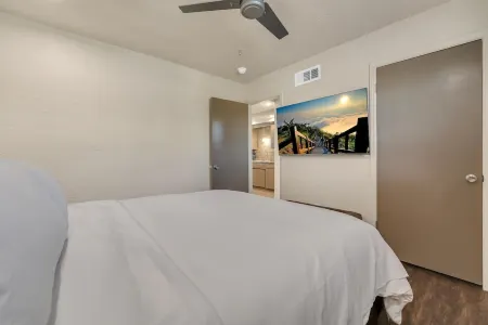 Oak's Beautiful Contemporary Suite #10