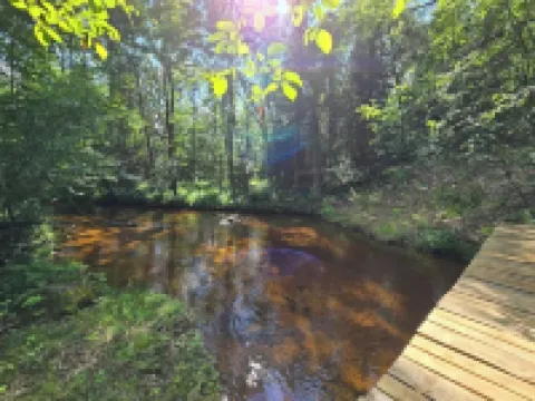 Snowmobile-Friendly Cabin Half Mile from Tri-County Corridor w/ Trailer Parking