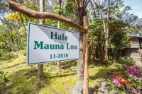 Hale Mauna Loa Volcano Vacation Getaway-Upper Level Volcanoes National Park