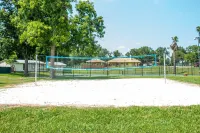 The Honey Hive - Dog Friendly w/ Golf Cart, Game Room, and Pool Access