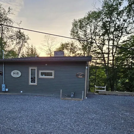 2 bd 2bth, Thomas, WV, near Canaan and Davis, WV skiing, trails, State Parks Отели в г. Такер