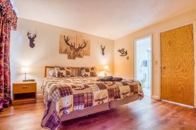 3 Bedroom Condo in Nordic Village/Nordic Wilderness - 1 mile to Storyland,