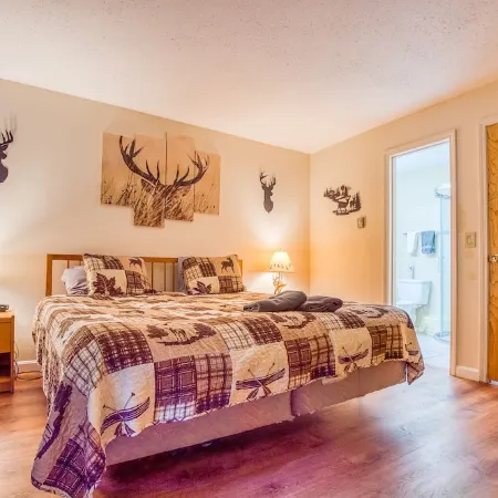 3 Bedroom Condo in Nordic Village/Nordic Wilderness - 1 mile to Storyland,