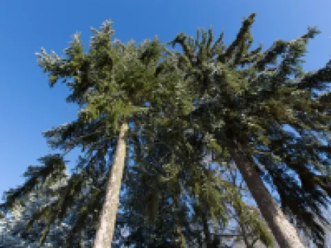 Woodblockhouse on lakeland in between nature to relax with fireplace テンプリーンのホテル