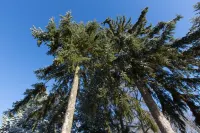 Woodblockhouse on lakeland in between nature to relax with fireplace Hotels in Templin