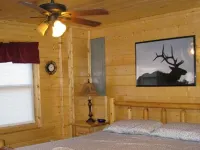 3BR, 2 Bath Cabin with full kitchen, living room, hot tub and spacious backyard.