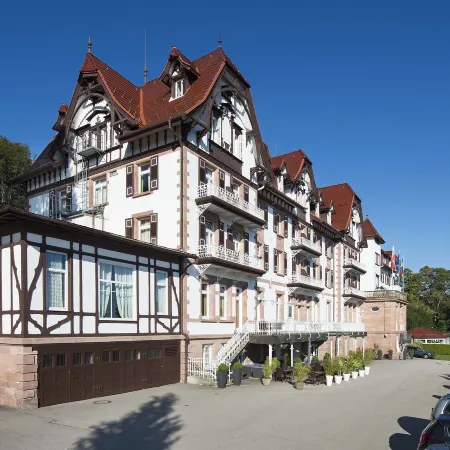 Das Palmenwald Schwarzwald, BW Signature Collection
