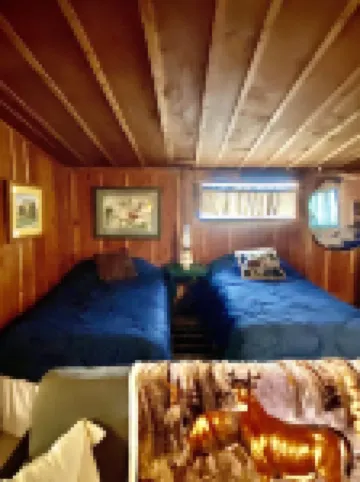 Wilderness Spirit Cabins 'Bear Cave' cabin-family friendly/sportsman paradise