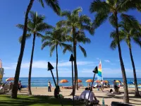 Fully Remodeled View Condo with Free Parking and Hi-Speed WiFi