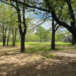 The Beulah Jane is a peaceful cabin on working farm in Glen Rose.