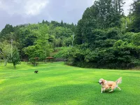 Oppawan Terrace Hotels in Minamisanriku