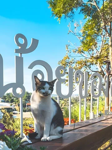 รูปภาพของกระท่อมน้อยของลุงทอม Uncle Tom's Cabin at Khaokho