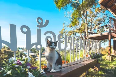 รูปภาพของกระท่อมน้อยของลุงทอม Uncle Tom's Cabin at Khaokho