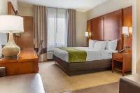Comfort Suites Dover University Area
