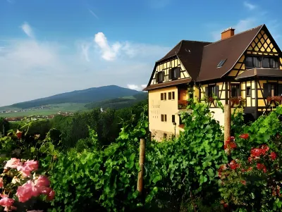 Hôtel Arnold Hotels in Benfeld