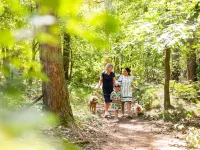 Beautiful Chalet with a Sauna Hotel dekat Kempenmuseum De Acht Zaligheden