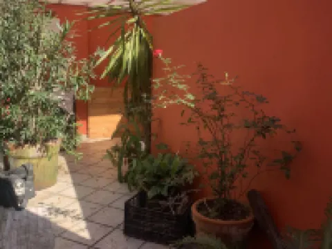 Villa Coyoacan Hotels near Museo Frida Kahlo