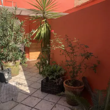 Villa Coyoacan