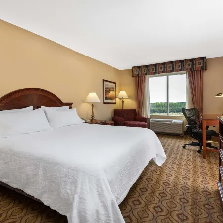 Hilton Garden Inn Florence