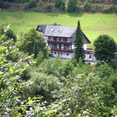 Charming Apartment with Balcony, Garden, BBQ, Parking, Heating