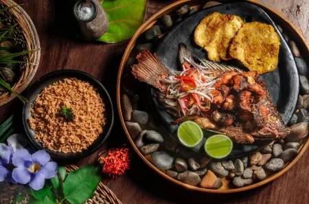 Ecoxata - Adults Only