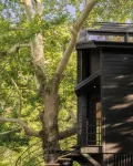 Aoos River Treehouse Hotels in Tymphaea