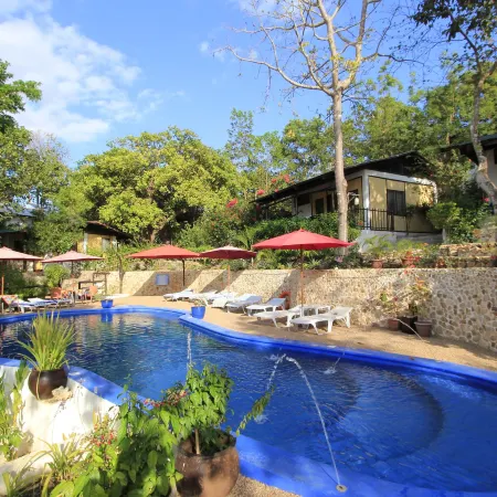 Discovery Island Resort