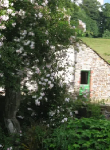 Hollamoor Farm