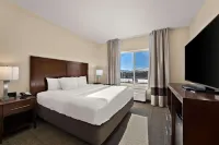 Comfort Inn & Suites Airport Convention Center Hotels in Reno