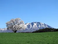 بنسيون سانرينسيا