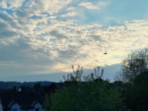 小鴨旅館-僅限大人 温德米爾酒店