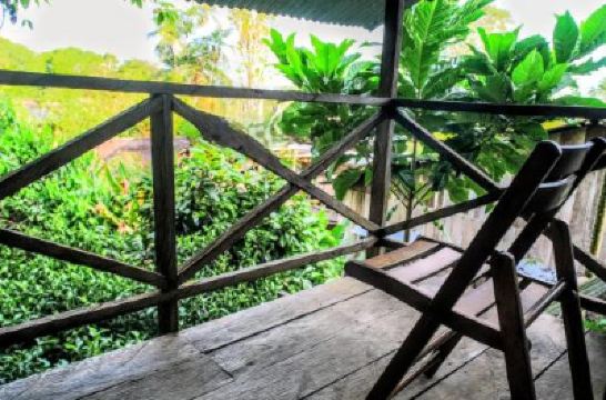 Family Room With Private Bathroom Ayahuasca Photo