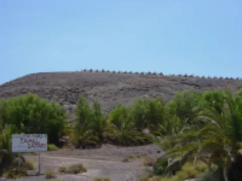 Family friendly holiday home with private pool