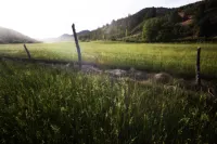 Charming Farm Stay with Modern Amenities - Serene Unique Retreat Hotels in Glendale