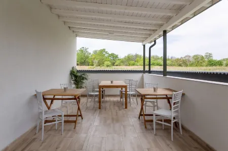 Otopeni Suites by CityBookings Отели в г. Отопени