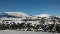 The Old School House Bed and Breakfast Hotels in Llanidloes