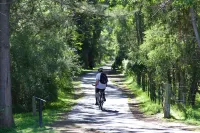 Poplar Tourist Park Hotels in Elderslie