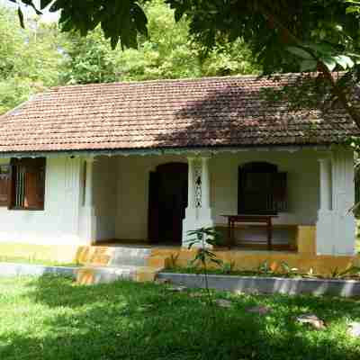 Jungle House Hotel Exterior