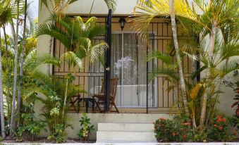 New Kingston Guest Apartment VII