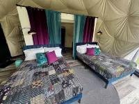 DayDreamer Domes Hotels in Casco Township