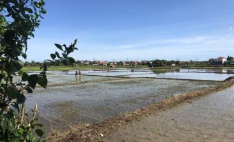 Bali Eco Living Yoga Healing Meditation and Retreat Center