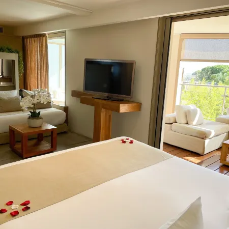 Cannes Villa St Barth